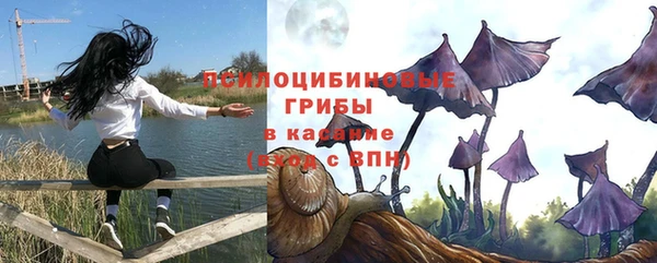 mdma Богородск