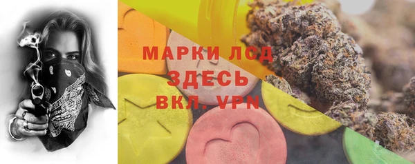 винт Богданович