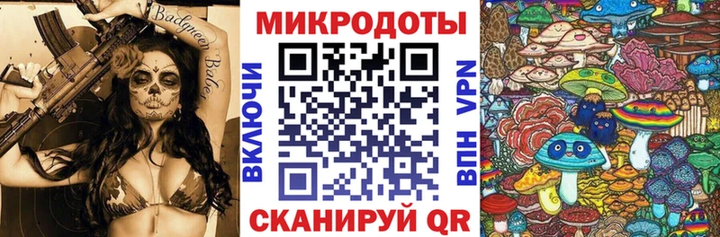 Псилоцибиновые грибы Psilocybine cubensis  Болхов 